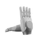 AgiBot OmniHand 2025 Tactile Right Robot Hand